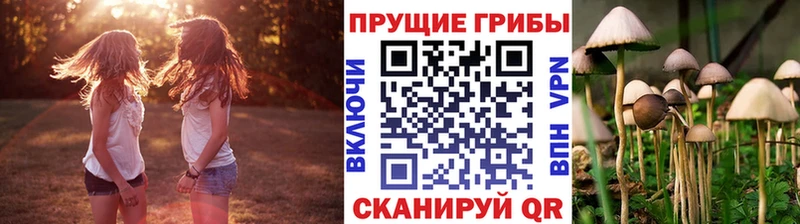 Галлюциногенные грибы Magic Shrooms  Ершов 